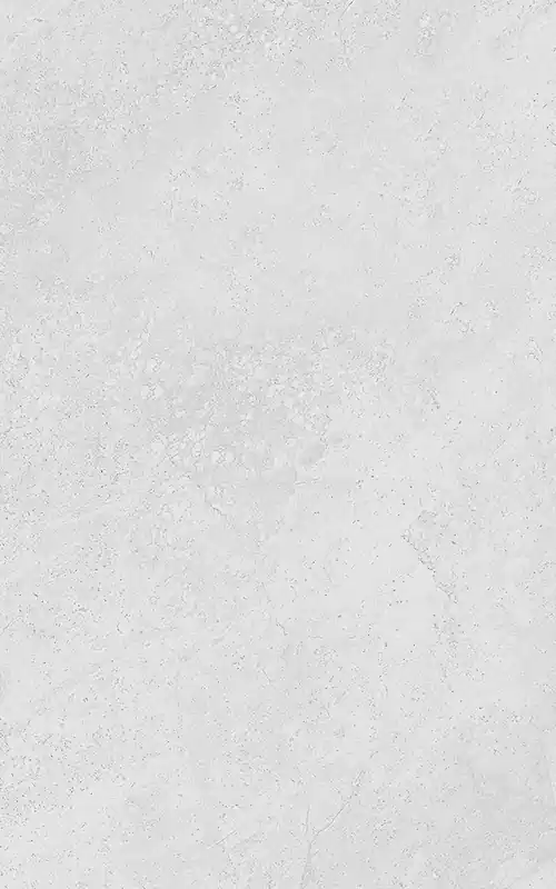 Gyors szállítás Csempe, KAI Group, Carpi Light Grey 5949, 25x40 cm