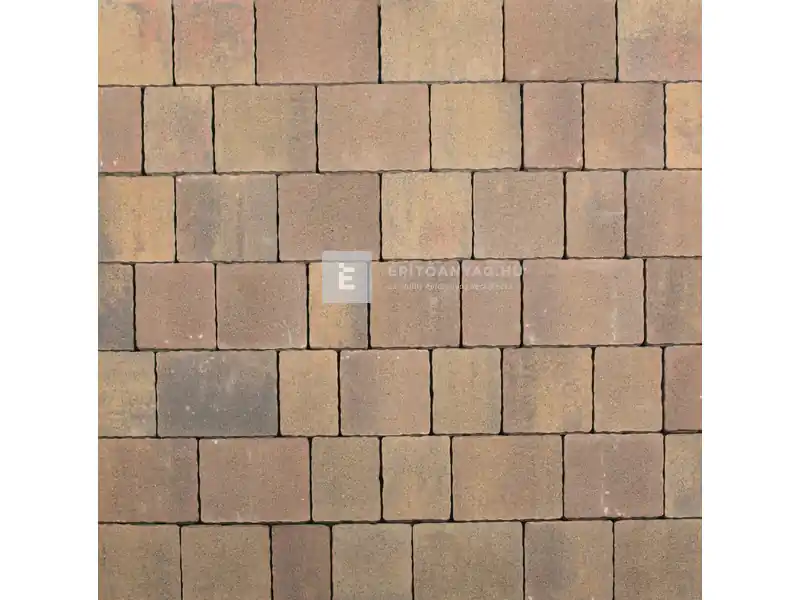 Leier Castrum kombi térkő natúr, gesztenye 5 cm Gyors szállítás