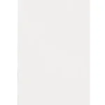 Prémium WEGA Tükör polccal, 50x80 cm (60092-5)
