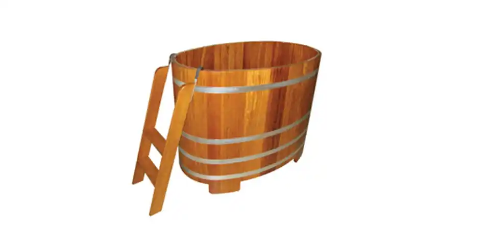 Wellis Merülődézsa + létra 110x77x105 cm AS00028Wellis Prémium