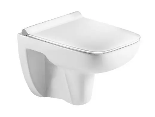 Expressz szállítás Wellis Erin fali rimless wc,WF00035Wellis