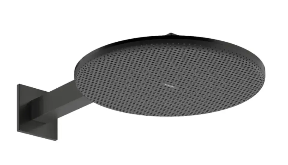 Hansgrohe - Raindance Alive S - Fejzuhany - 24541340 Gyors szállítás