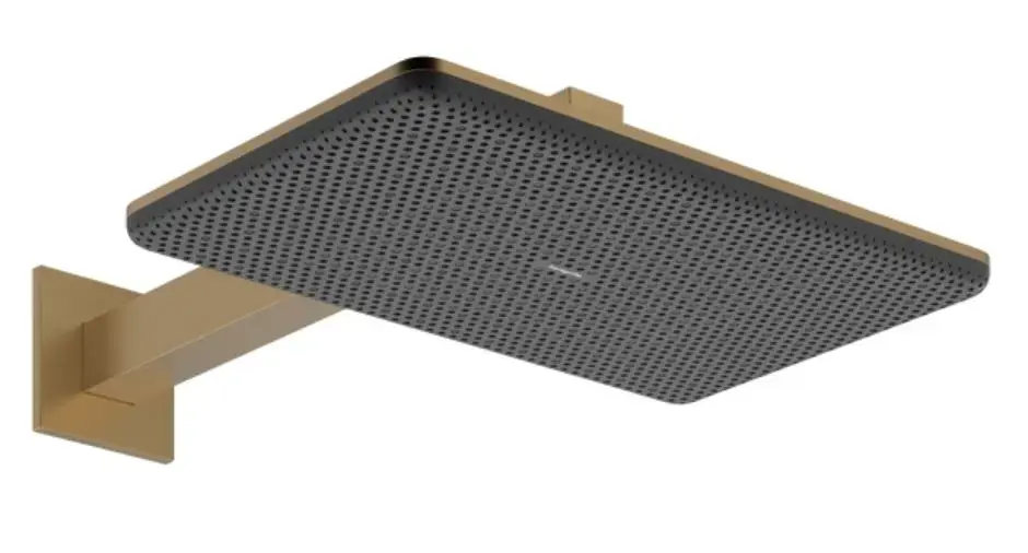 Hansgrohe - Raindance Alive Q - Fejzuhany - 24550140 Különleges ajánlat