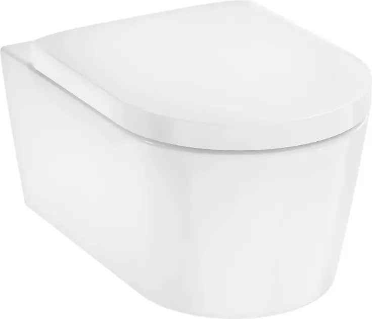 Újdonság Hansgrohe - EluPura S - WC - 60292450