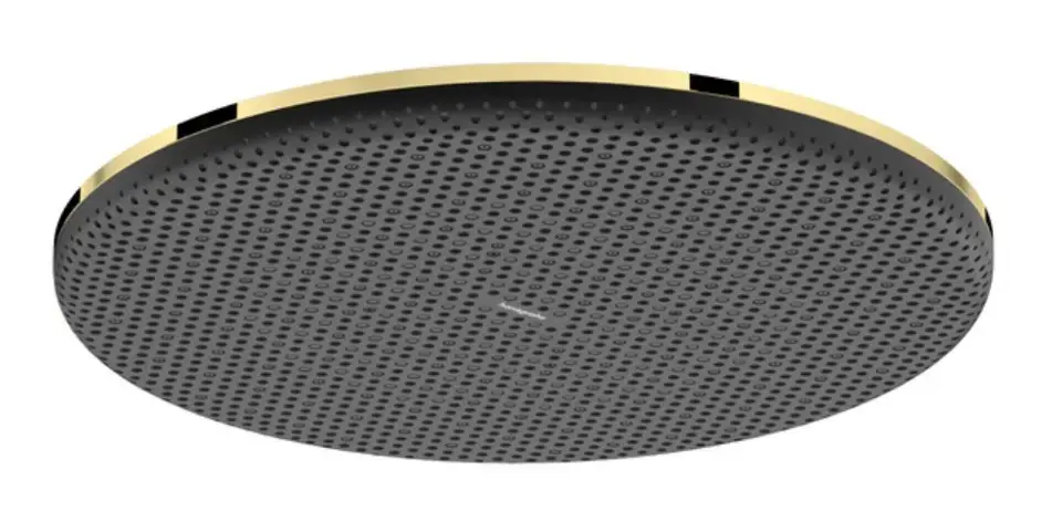 Expressz szállítás Hansgrohe - Raindance Alive S - Fejzuhany - 24523990